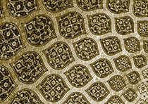 Ovoid islamic pattern, possibly a decorated ceiling