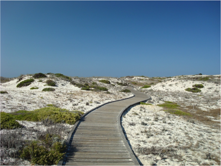 Scrubby sandy hills with a winding wood boardwalk leading into the distance. Hazy blue sky.