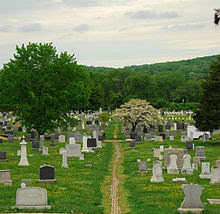 Landscape photo of a cemetery with a dirt walking path running up the center