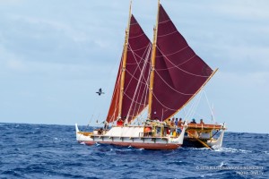 Two canoes with red sails connected by a wide platform