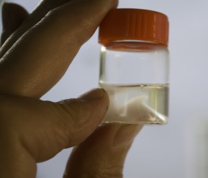 Closeup image of a hand holding a vial with an unlabeled partially cloudy liquid