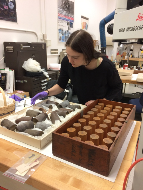 Conservator wearing gloves rearranges wax cylinders nestled in a tray