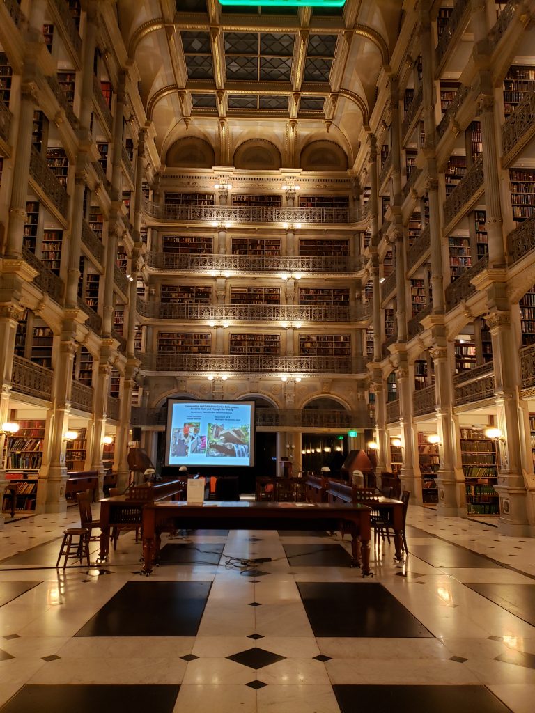 Grand vaulted interior of Peabody library with presentation on temporary screen in atrium between library shelves