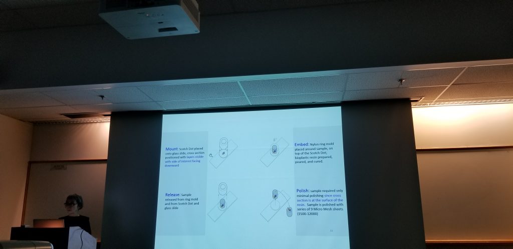 Speaker in a darkened room with presentation projected behind them. Diagram of mounting, embedding, releasing and polishing cross-sections.