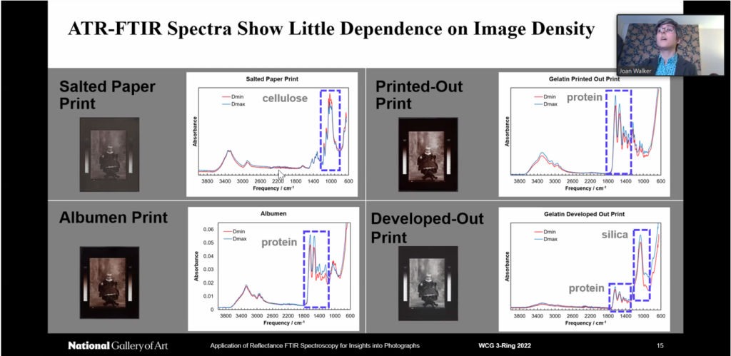 Screenshot of a virtual presentation. Title of slide reads ATR-FTIR spectra show little dependence on image density. Four spectra with proteins and cellulose highlighted for salted paper, printed-out, albumen, and developed-out prints
