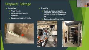 Slide image from Christine Oriccho's 3-Ring Circus talk detailing the ‘Salvage’ step of an emergency response to pest infestation.
