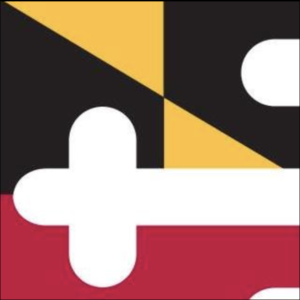 Maryland.gov logo featuring a detail of the state flag in yellow, black, red, and white geometric shapes.